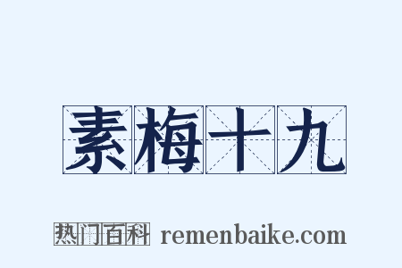 素梅十九是什么意思的图片